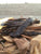 Original Elk Jerky
